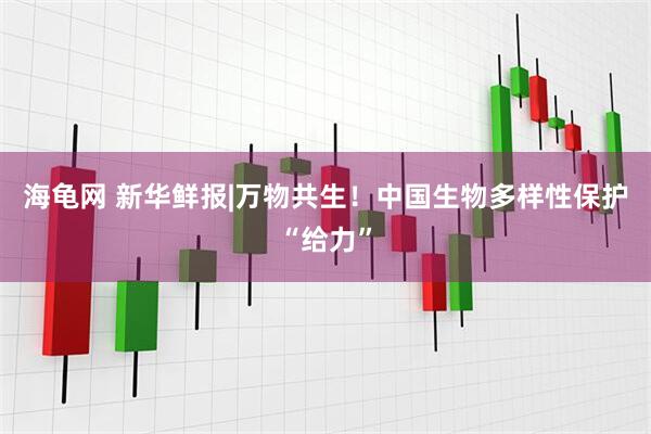 海龟网 新华鲜报|万物共生！中国生物多样性保护“给力”