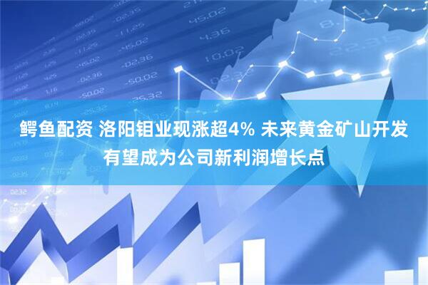 鳄鱼配资 洛阳钼业现涨超4% 未来黄金矿山开发有望成为公司新利润增长点