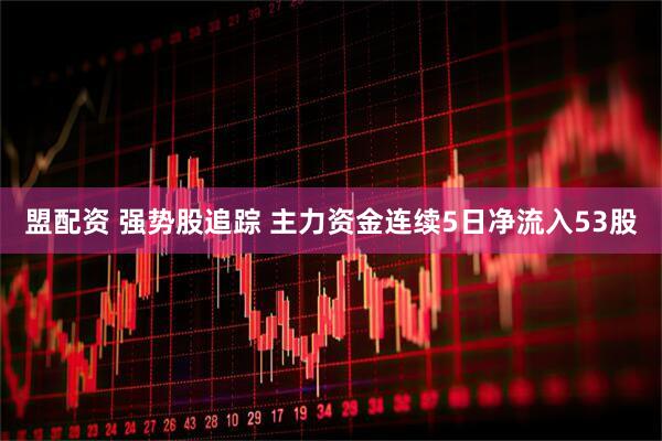 盟配资 强势股追踪 主力资金连续5日净流入53股