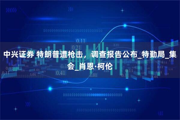 中兴证券 特朗普遭枪击，调查报告公布_特勤局_集会_肖恩·柯伦